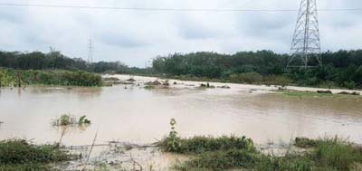 Anggota DPRD Riau Minta Perusahaan Segera Bantu Korban Banjir